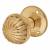 Polished Brass Fluted Mortice Door Knob - 65mm Rose Diameter