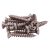 Spare Casement Window Stay Screws - Nickel Plated - Pack of 10