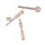 Vertical Sliding Sash Screw - Satin Brass - Pack of 2 with 1 Key