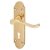 Polished Brass Victorian Summer Scroll Keyhole Lock Door Handles - 168 x 40mm
