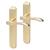 Polished Brass Latch Door Handles - Long Plate - Altea Range - 240 x 41mm