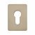 Jumbo Adhesive Fixing Escutcheon - 65.5 x 47.6mm - Euro - Satin Stainless Steel
