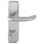 Outside Access Device with Cylinder - Lever - Silver