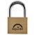 Lion Open Shackle Padlock - 50mm Body - 30 x 28mm Shackle - Brass