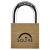 Lion Open Shackle Padlock - 40mm Body - 21 x 22.5mm Shackle - Brass