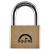 Lion Open Shackle Padlock - 60mm Body - 35.5 x 33.5mm Shackle - Brass