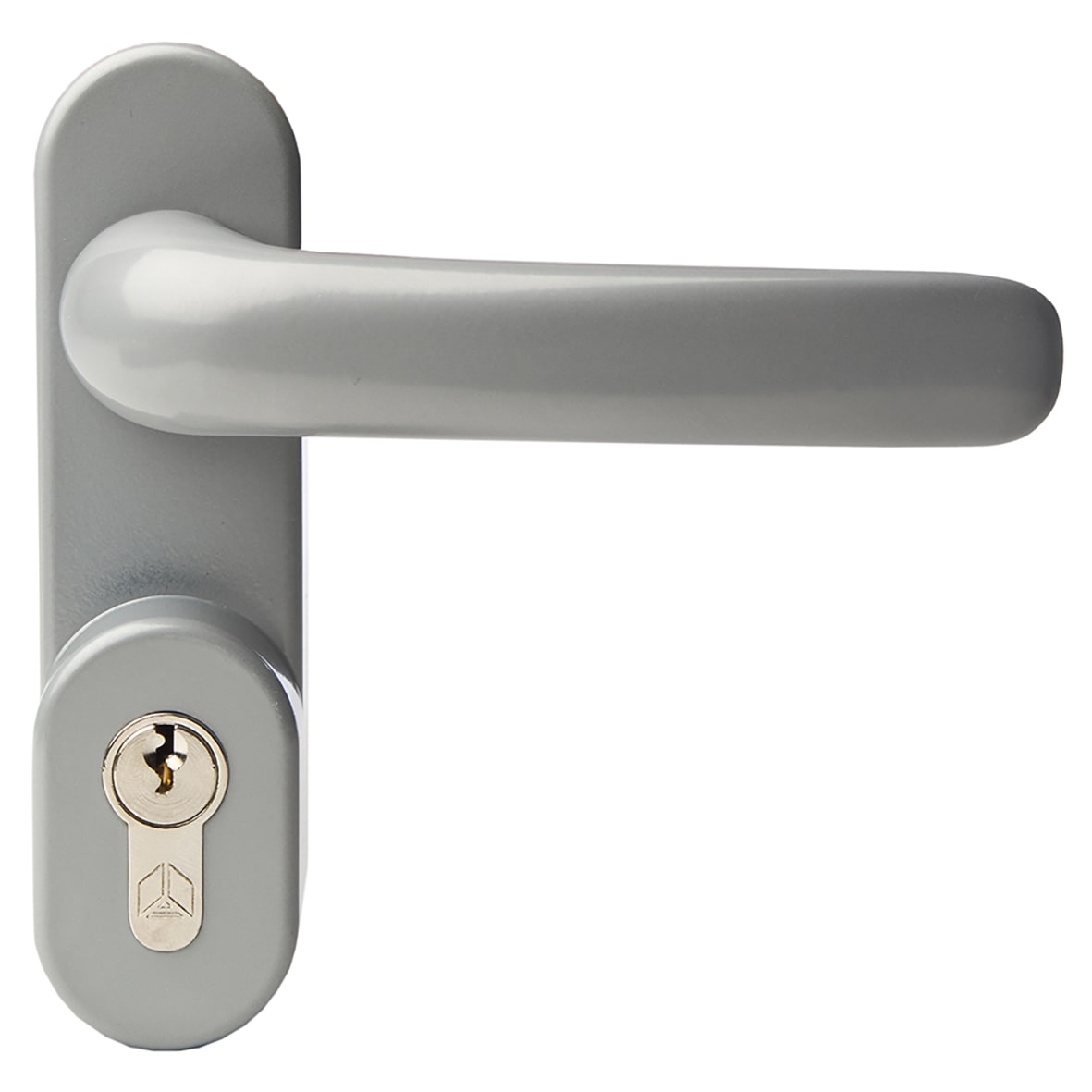 Outside Access Device with Cylinder - Lever - Silver