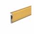 Cyclone Seal - 1000mm Length - CBG Trim Seal - Inward Opening Doors - Gold Anodised 327622P
