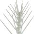 Spikes - Pack of 18 339696P