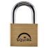 Lion Open Shackle Padlock - 50mm Body - 30 x 28mm Shackle - Brass 688037P