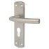 Satin Stainless Steel Arched Euro Lock Door Handles - 172 x 44mm 316898P