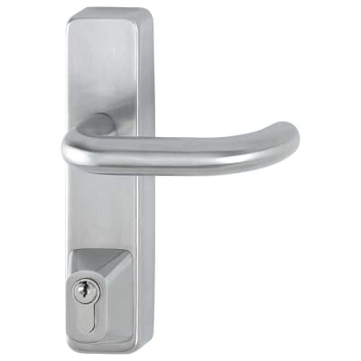 Outside Access Device with Cylinder - Lever - Silver
