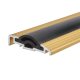Cyclone Seal - 2100mm Length - TDG Threshold - Inward Opening Doors - Gold