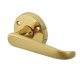 Polished Brass Victorian Door Handles on Round Rose