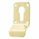Polished Brass Euro Cylinder Pull - 92 x 43mm