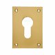 Jumbo Escutcheon - 65.5 x 47.6mm - Euro - Polished Brass