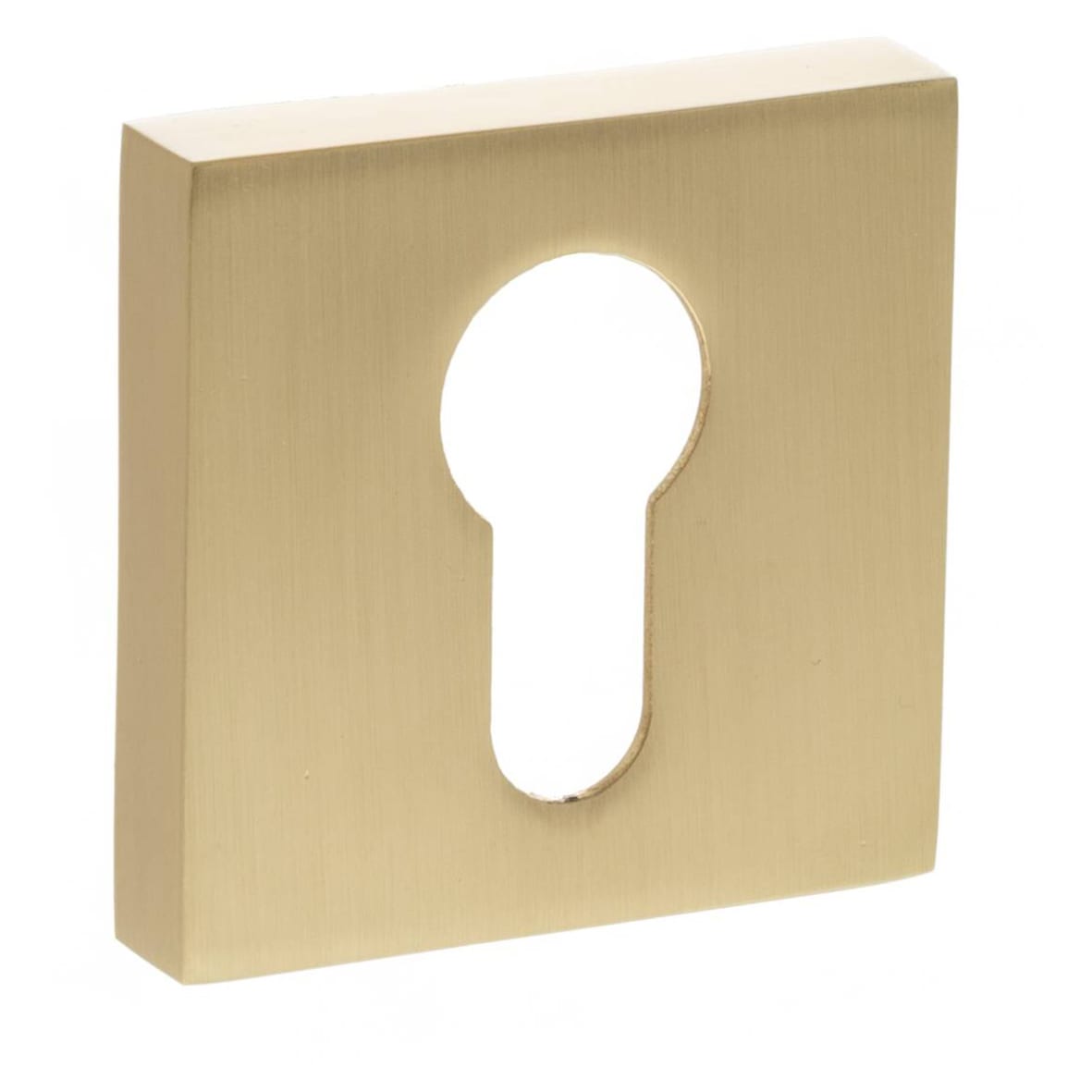 Status Square Escutcheon - 51 x 51mm - Euro - Satin Brass - Pair