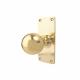 Polished Brass School Room Pattern Mortice Door Knob on Backplate - 127 x 51mm