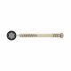 T-Star Plus Cylindrical Head Decking Screw - 5.0 x 60mm - A2 Stainless Steel - Pack of 100