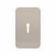 Jumbo Adhesive Fixing Escutcheon - 100 x 60mm - Keyhole - Satin Stainless Steel
