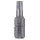 Steel Driver Bits - Torx - T25 - 25mm Length - Pack of 10