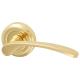 Marcus Polished Brass Door Handles on Round Rose - Sophia Range