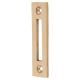 Replacement Casement Window Fastener Mortice Plate - 75mm Length - Polished Brass