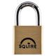 Lion Open Shackle Padlock - 30mm Body - 19.5 x 16.5mm Shackle - Brass