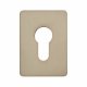 Jumbo Adhesive Fixing Escutcheon - 65.5 x 47.6mm - Euro - Satin Stainless Steel
