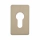 Jumbo Adhesive Fixing Escutcheon - 65.5 x 40mm - Euro - Satin Stainless Steel