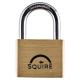 Lion Open Shackle Padlock - 50mm Body - 30 x 28mm Shackle - Brass