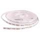 LED 6W Flexible LED Strip Light with Driver - - 5000mm - 460 lumens - 6500K Daylight