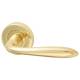 Marcus Polished Brass Door Handles on Round Rose - Sutton Range