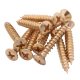 Spare Casement Window Stay Screws - Polished Brass - Pack of 10