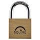 Lion Open Shackle Padlock - 40mm Body - 21 x 22.5mm Shackle - Brass