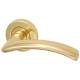 Marcus Polished Brass Door Handles on Round Rose - Centaur Range